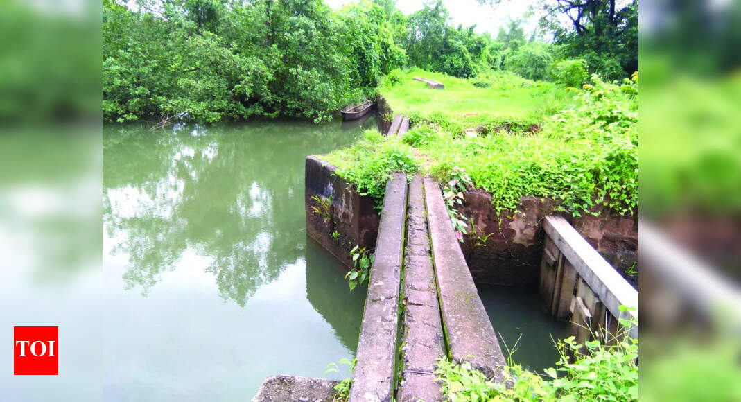Sluice Gate Fishing in Goa Faces Challenges: Study Reveals Decline