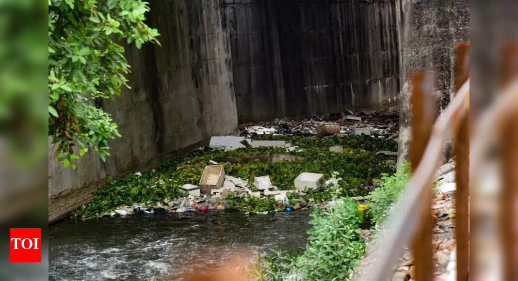 Early Monsoon Reveals Hyderabad's Infrastructure Weaknesses