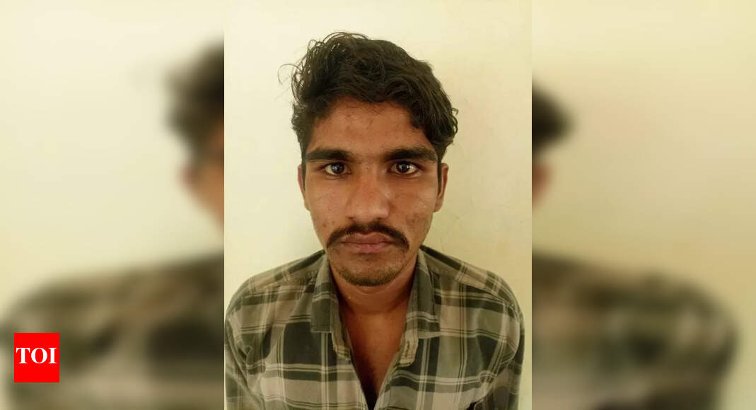 Two Theft Suspects Escape Police Custody in Bhilwara