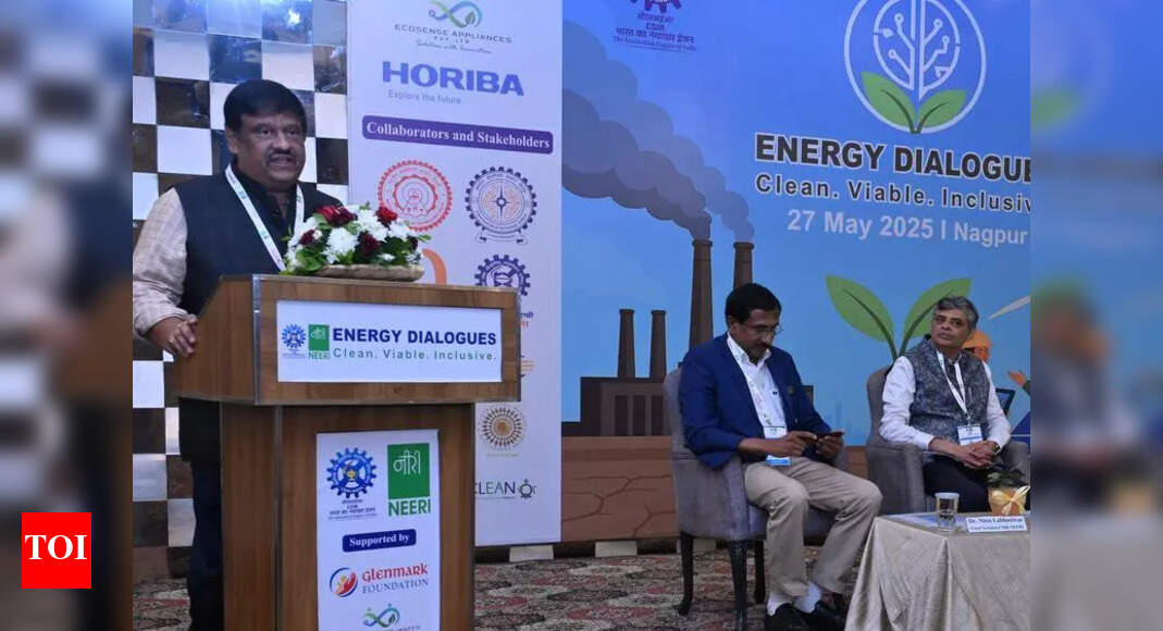 Empowering India's Energy Transition: Insights from Leading Scientists