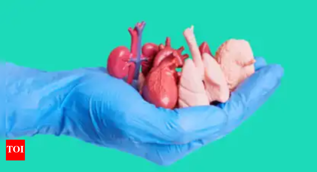 Health Minister Honors Organ Donor Families in Mumbai