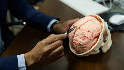 5 चीजें कोर्टिसोल मस्तिष्क को नुकसान पहुंचाने के लिए और इसे कैसे उलट दें