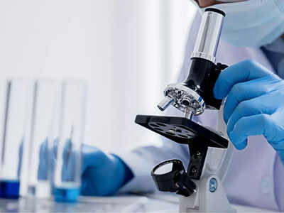  Scientists flee Silicon Valley amid political and financial upheaval