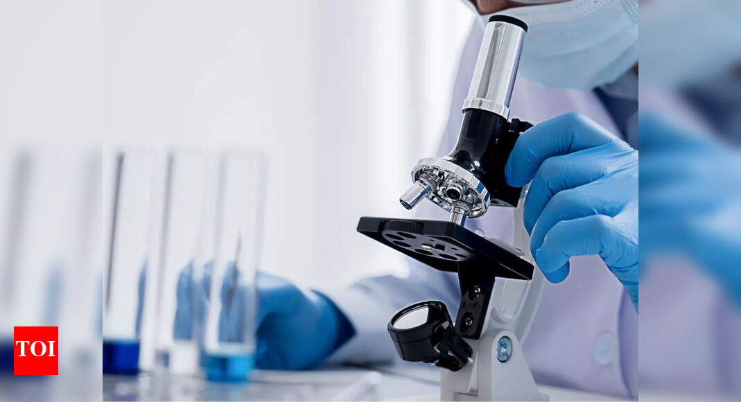 US Scientists Fleeing Silicon Valley Amid Funding Cuts