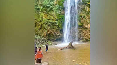 Delhi woman among 2 killed as tree falls on them at Tiger Falls in Dehradun