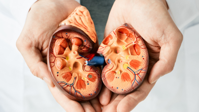 The 7 early signs and symptoms of kidney damage that are commonly ignored