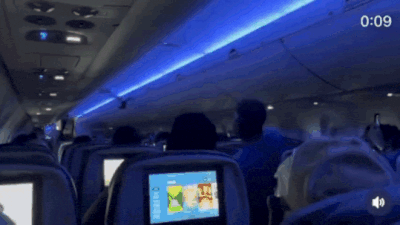  Birds take off without boarding passes, delay Delta flight twice; watch