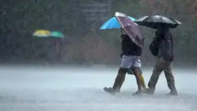 Southwest monsoon arrives early in Odisha, heavy rain in several districts