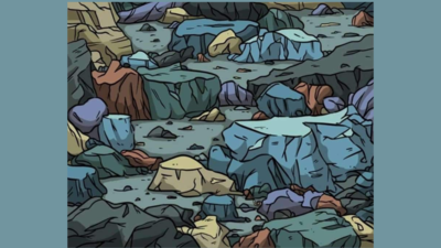 Optical Illusion: One snail is hiding among the rocks; can you spot it?