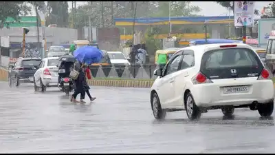 IMD issues yellow alert for all dists in state till Sunday