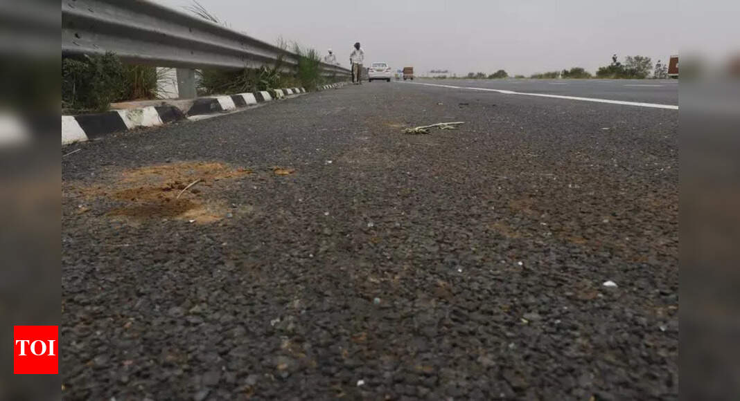 Three-Year-Old Survives Severe Brain Injury in Road Accident