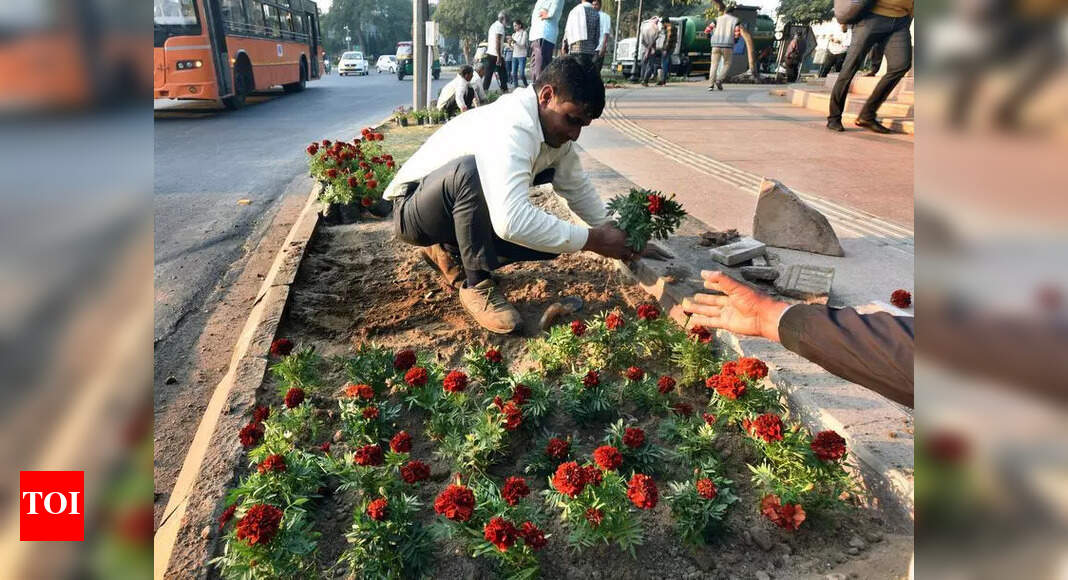 Haryana Launches Plan to Revive Aravalis and Combat Desertification