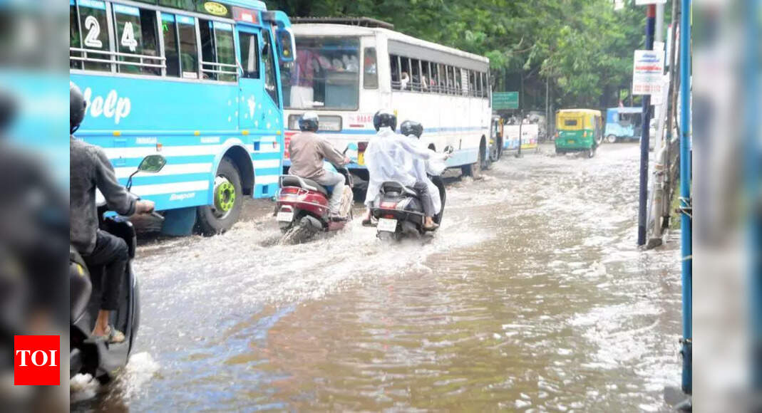 Telangana Health Advisory: Monsoon Brings Disease Risk