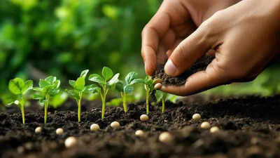 ‘Truthful label’, lax laws shield seed firms, farmers pay price