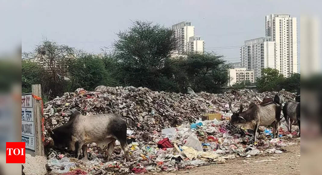 MCM Plans Waste Collection for High-Rises in New Sectors