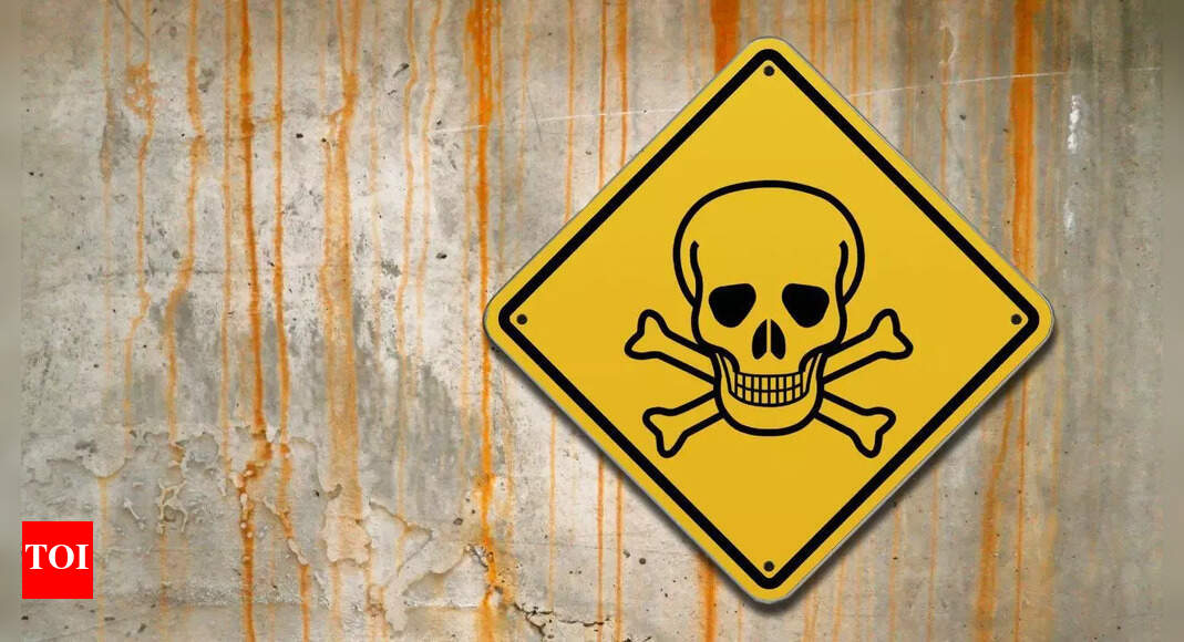 Steering Wheel: Dirtier Than a Toilet, Study Reveals