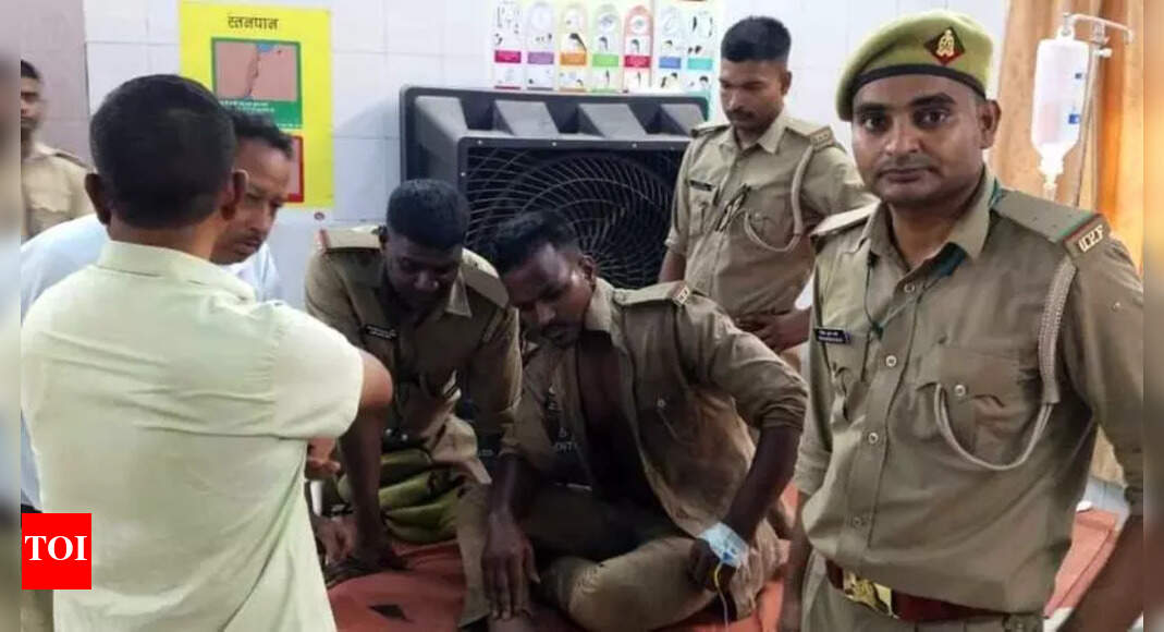 Bees Attack Forest Officers in Mirzapur, Injuring 16