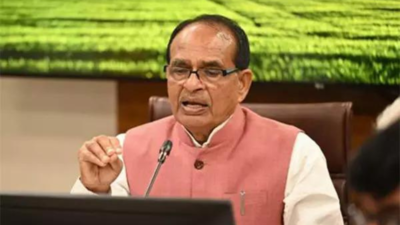 At 354MT, India's foodgrain output hits an all-time high