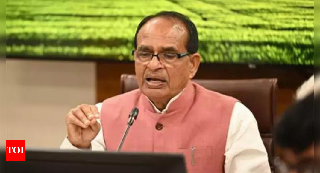 At 354MT, India’s foodgrain output hits an all-time high | India News  timesofindia.indiatimes.com