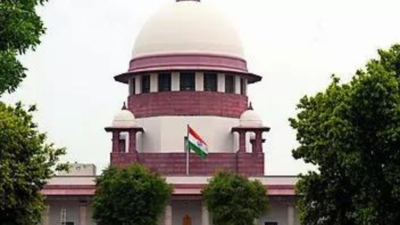 Single hand can't clap, says SC, gives interim bail to rape accused