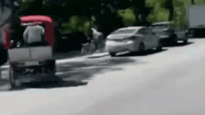 Horses turn hazardous in Central Park as they go wild, injuring several; watch