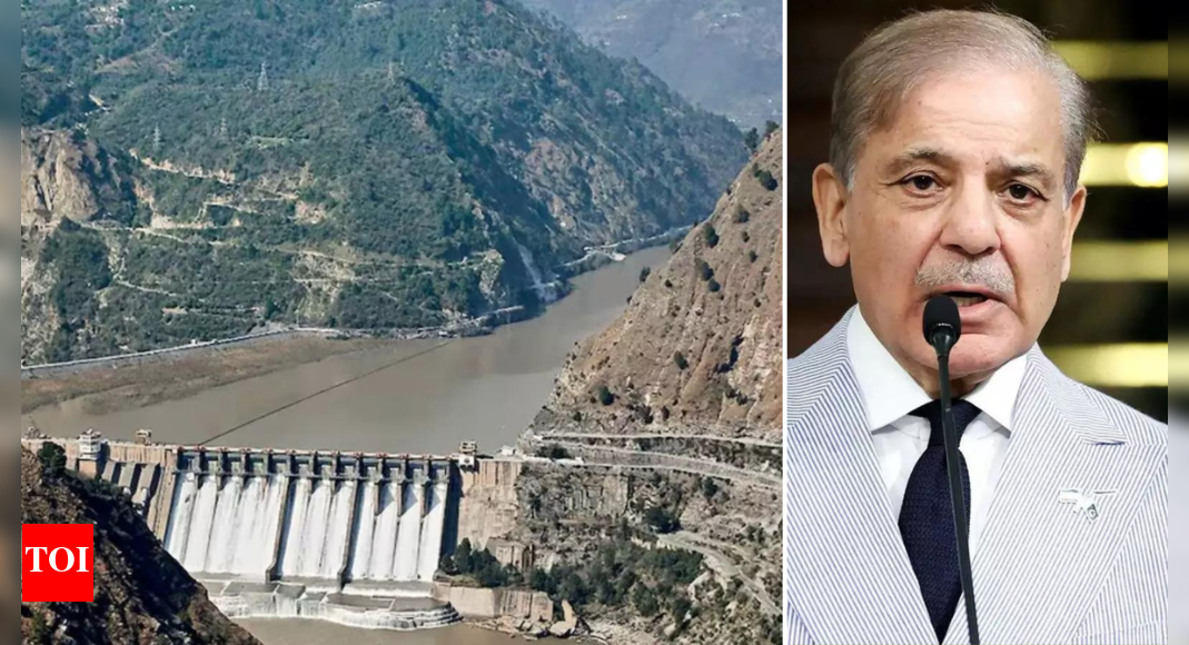 'Talks suspended till ... ': India rejects Pakistan PM Shehbaz Sharif’s call for dialogue on Indus Waters Treaty, terror, Kashmir