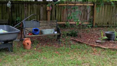 Optical Illusion: Only a real cat person can spot the cat in this picture