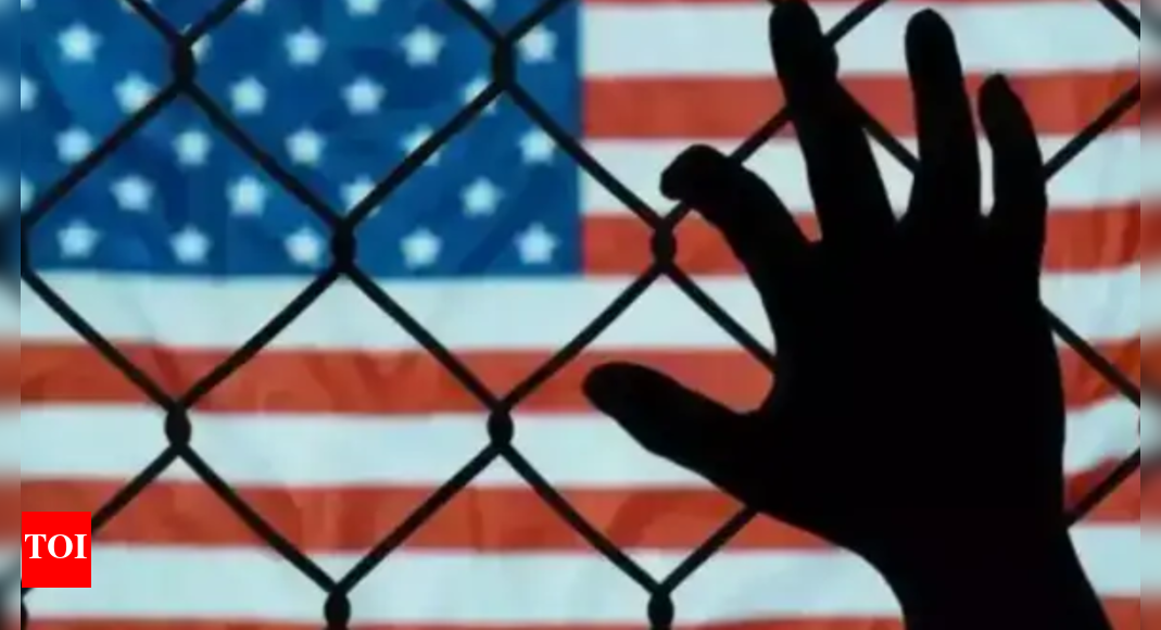 1,080 Indians deported from US since January, confirms MEA