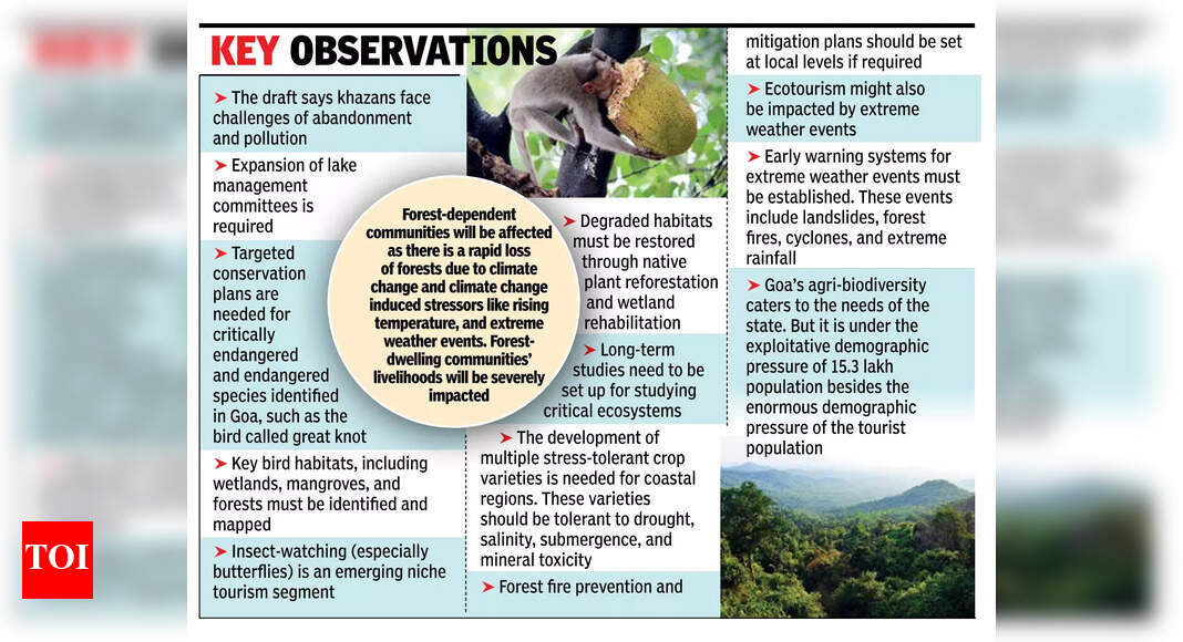 Goa Unveils Biodiversity Plan; Bird Species Near 500