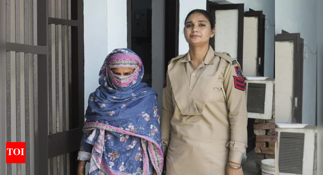 Sunita's Arrest: LoC Crossing, Interrogation, and Plans to Return