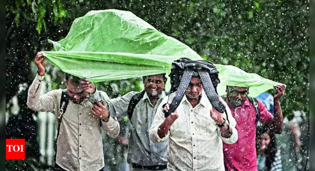 Heavy Rainfall and Landslides Disrupt Life in Assam