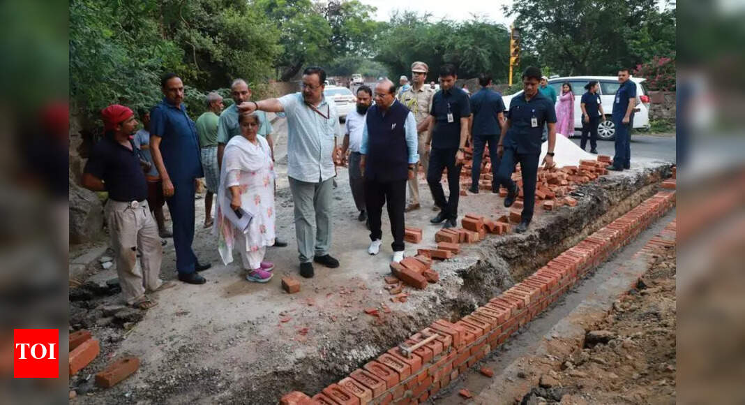 Delhi: Plans to Revitalize Kamla Nehru Ridge to Reduce Waterlogging