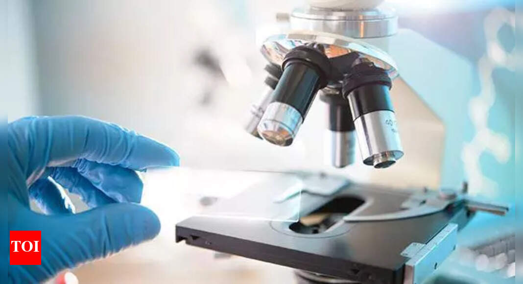 Researchers Develop Colon-Targeted Drug Delivery System