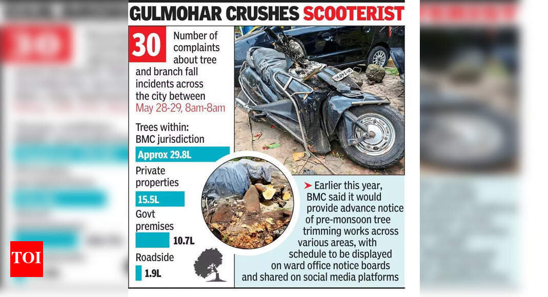 Mumbai's BMC to Prune Trees on Private Land