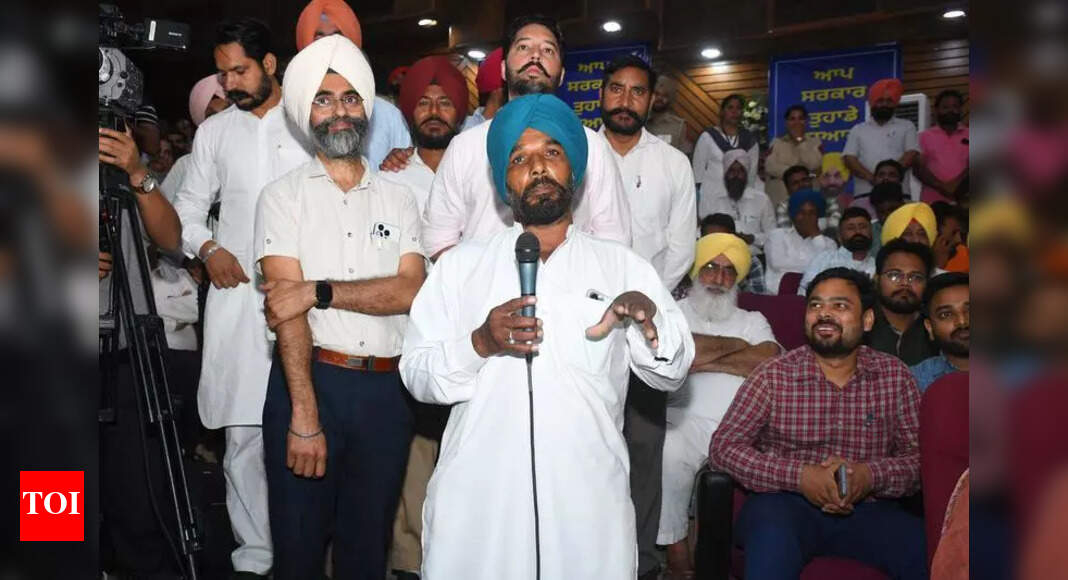 Punjab Village Sarpanch Seeks CM Help for Development