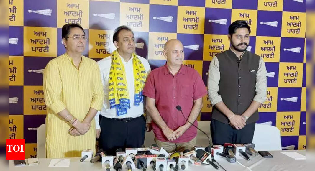 AAP MLA Raman Arora in Custody; Industrialist Appointed as In-Charge