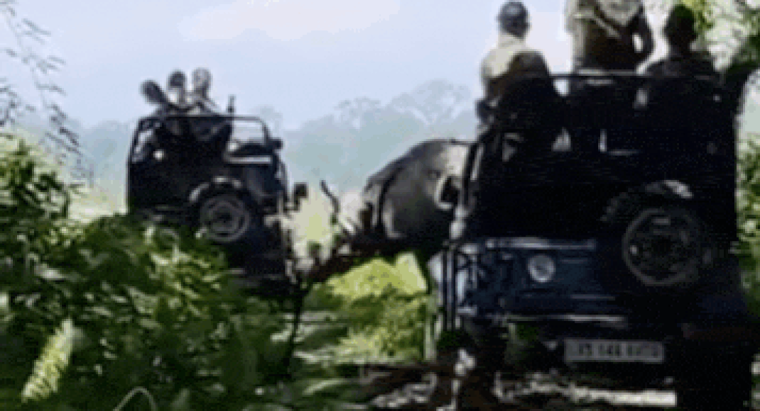 Rhino Attacks Tourist Jeep in Assam: Video Goes Viral