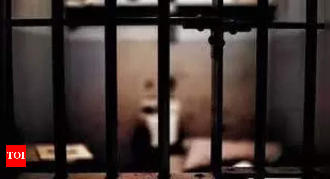 Ludhiana Man Sentenced to Life for Murdering Mother