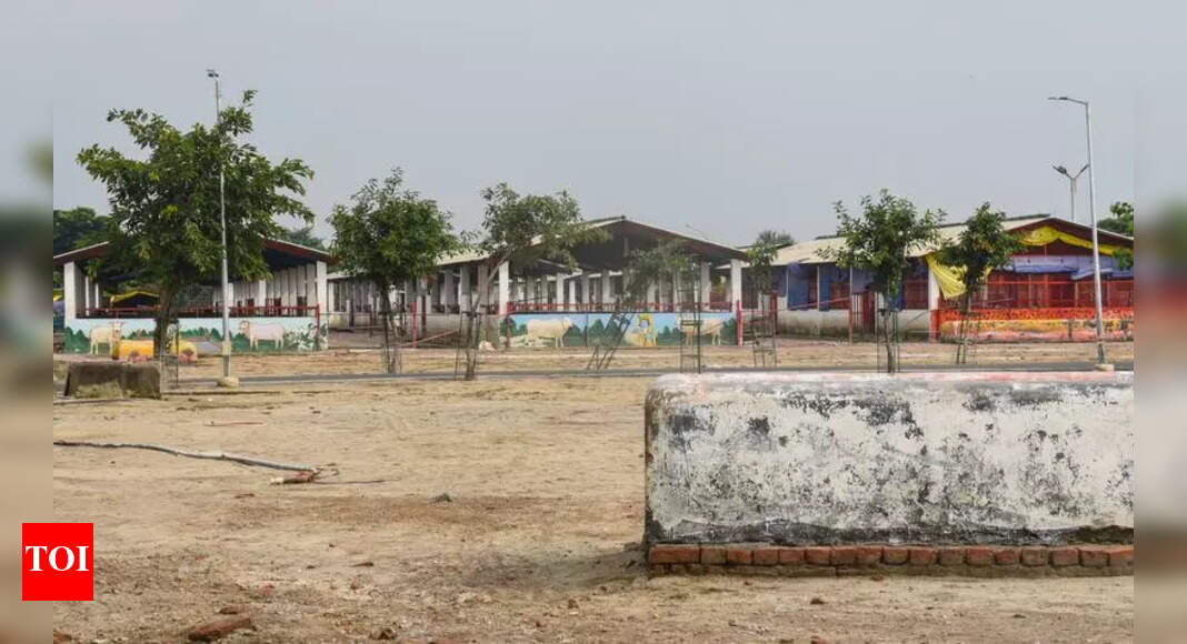 Noida Orders New Shelters to Curb Stray Cattle Issues