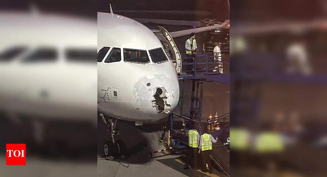 MNNIT Researchers Studying Lightning's Impact on Aircraft