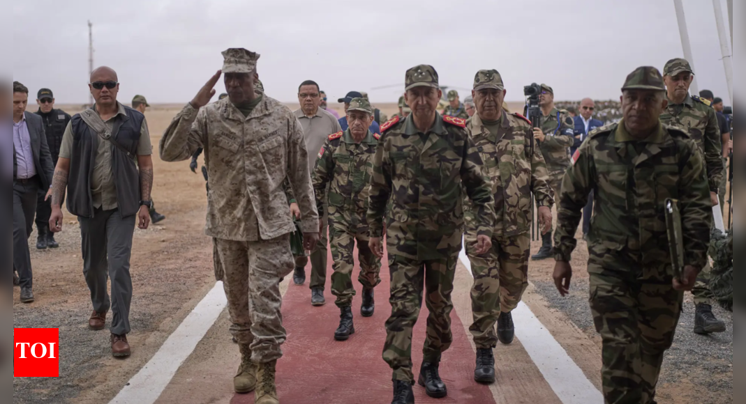 'We're keeping a good eye': Top US general warns of African terror groups attack on American homeland