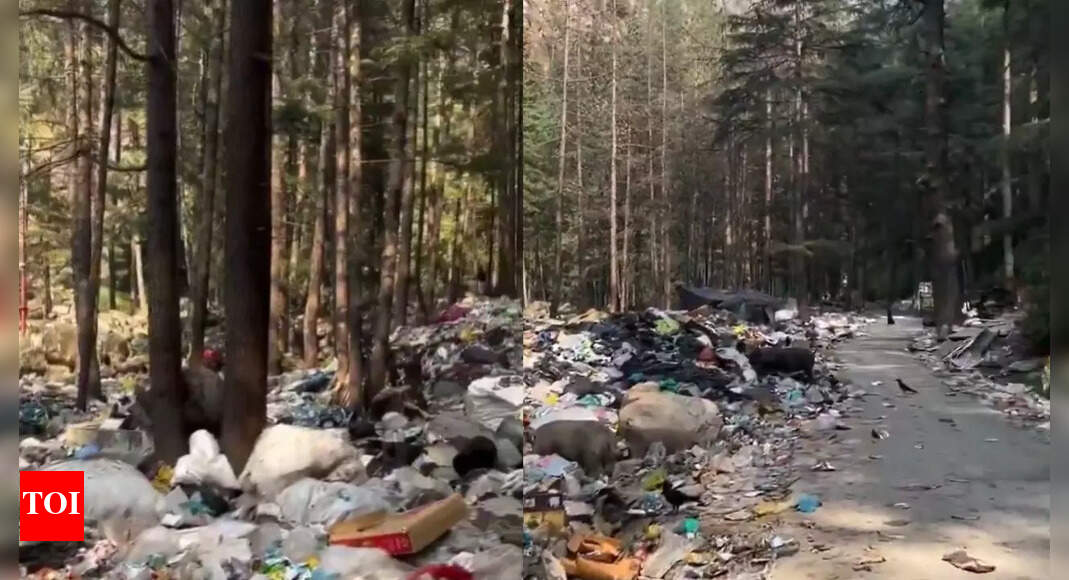 Kasol: Viral Videos Show Waste Crisis in Himachal Paradise