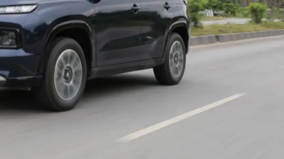 Speeding car kills 12 sheep and two dogs in Coimbatore