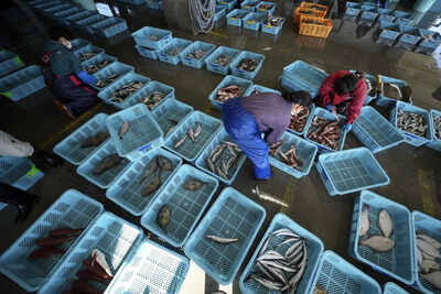 Japan says China will resume Japanese seafood imports it halted over Fukushima water discharge