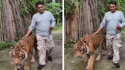  Indian tourist attacked by tiger– Watch viral clip