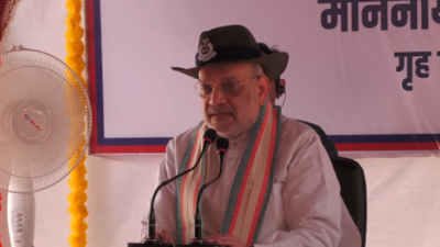 'Incapable of waging war for quite some time': Amit Shah lauds BSF for destroying 118 Pakistani posts and communication system