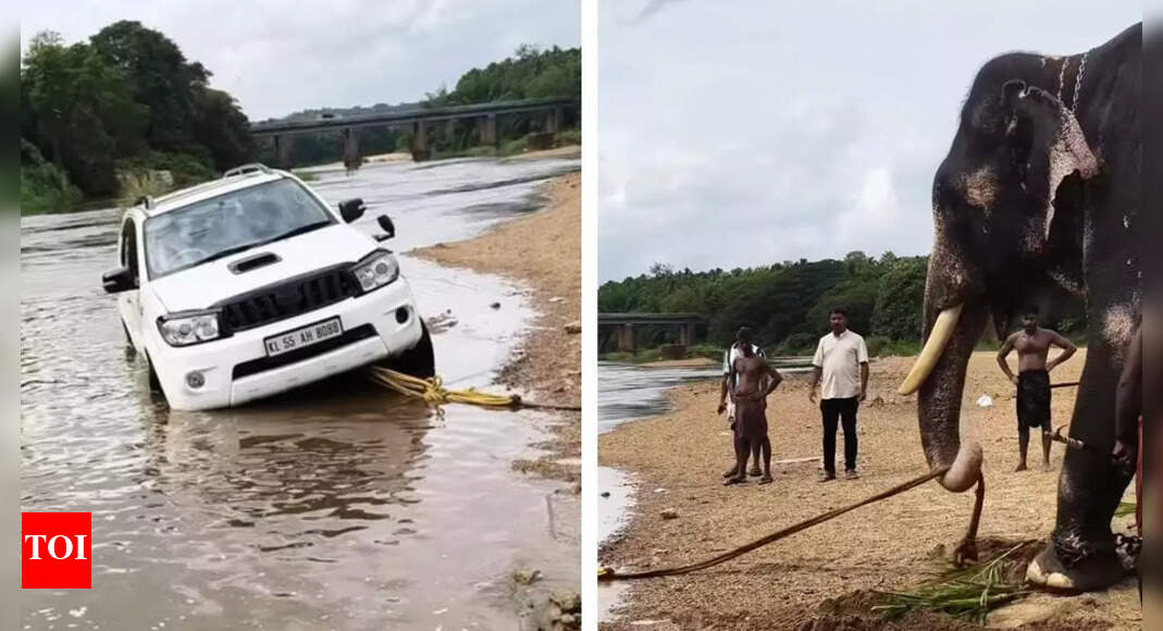 Watch: Elephant in Kerala calmly pulls out SUV from riverbank, wins hearts online