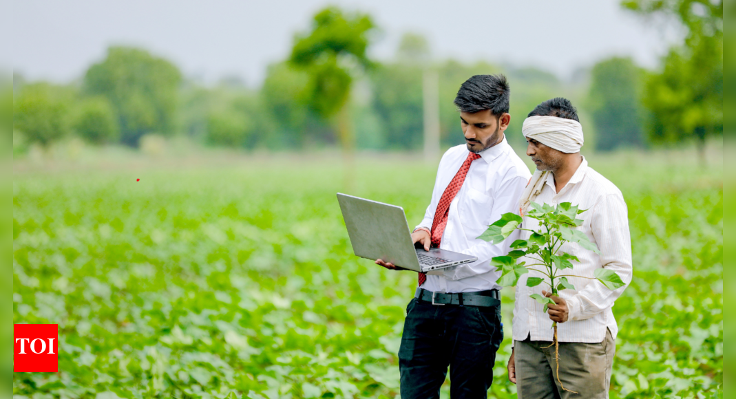 Patanjali's Initiative Supports Vidarbha Farmers with Fairer Prices