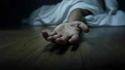 Chhattisgarh: Husband plots wife's murder after watching over 150 crime shows, paid Rs 60,000 contract to killer | Raipur News - Times of India