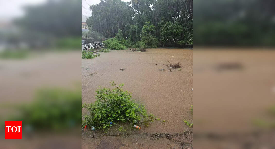 Heavy Rains Cause Damage in Canacona, Goa